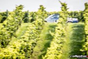 15.-adac-msc-rallye-alzey-2017-rallyelive.com-8525.jpg